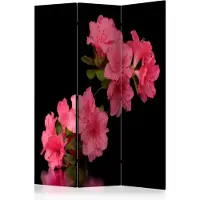 Artgeist Azalea In Black 3-osainen sermi