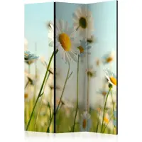 Artgeist Daisies - Spring Meadow 3-osainen sermi