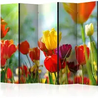 Artgeist Spring Tulips 5-osainen sermi