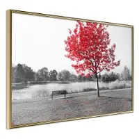 Artgeist Autumn Colours I juliste