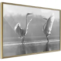 Artgeist Black And White Herons juliste