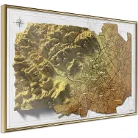 Artgeist Raised Relief Map: Vienna juliste