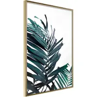 Artgeist Evergreen Palm Leaves juliste