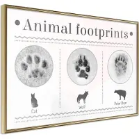 Artgeist How To Recognize an Animal juliste