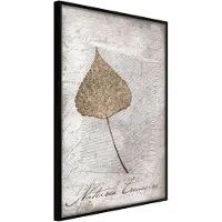 Artgeist Dried Leaf juliste
