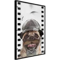 Artgeist Dressed Up Pug juliste