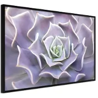 Artgeist Like A Flower juliste