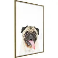 Artgeist Funny Pug juliste