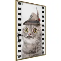 Artgeist Dressed Up Cat juliste