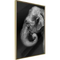 Artgeist Wisdom juliste