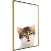 Artgeist Funny Kitten juliste