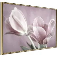 Artgeist Pastel Tulips I juliste