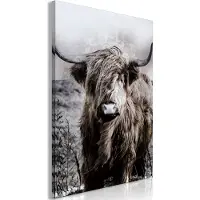 Artgeist Highland Cow in Sepia taulu