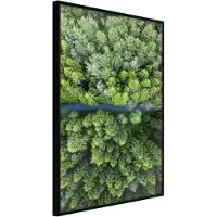 Artgeist Forest From A Bird's Eye View juliste