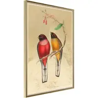 Artgeist Ornithologist'S Drawings juliste