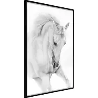Artgeist Beauty In Motion juliste