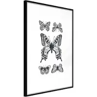 Artgeist Butterfly Collection Iv juliste