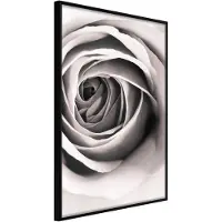 Artgeist Structure Of Petals juliste