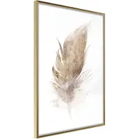 Artgeist Lost Feather (Beige) juliste