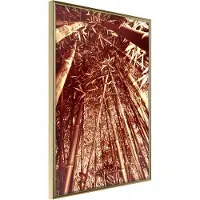 Artgeist Asian Forest juliste
