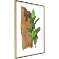 Artgeist Forest Bouquet juliste