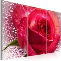 Artgeist Lady Rose - Triptych taulusetti