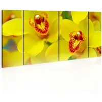 Artgeist Orchids - Intensity Of Yellow Color taulusetti