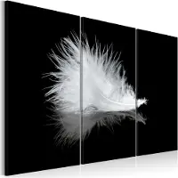 Artgeist A Small Feather taulusetti