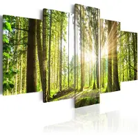 Artgeist Forest Kingdom taulusetti