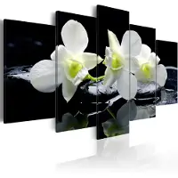 Artgeist Melancholic Orchids taulusetti