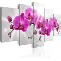 Artgeist Abstract Garden: Pink Orchids taulusetti