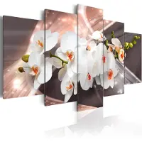 Artgeist Echo Of Beauty taulusetti