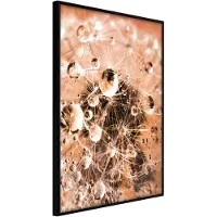 Artgeist Drops On Dandelion juliste