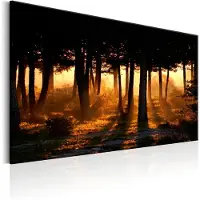 Artgeist Forest Dawn taulu
