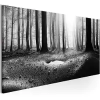 Artgeist Forest After Rain Narrow taulu