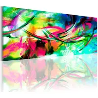 Artgeist Madness Of Color taulu