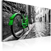 Artgeist Vintage Green Bike taulu