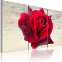 Artgeist Lyrical Rose taulusetti