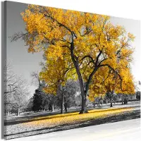 Artgeist Autumn In The Park Wide Gold taulu