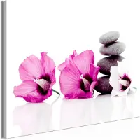 Artgeist Calm Mallow Wide Pink taulu
