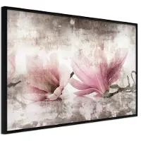 Artgeist Picked Magnolias juliste