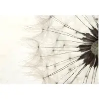 Artgeist White Dandelion fototapetti