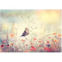 Kärkkäinen Artgeist Field Bird itseliimautuva fototapetti