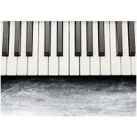 Artgeist Inspired By Chopin - Grey Stone fototapetti