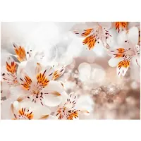 Kärkkäinen Artgeist Lily Of The Incas fototapetti