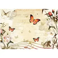 Artgeist Melodies Of Butterflies fototapetti