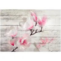 Kärkkäinen Artgeist Gentleness Of The Magnolia fototapetti