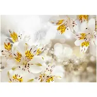 Kärkkäinen Artgeist Sunny Alstroemeria fototapetti