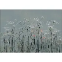 Kärkkäinen Artgeist Garlic Flowers itseliimautuva fototapetti