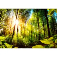 Kärkkäinen Artgeist Forest Hideout itseliimautuva fototapetti